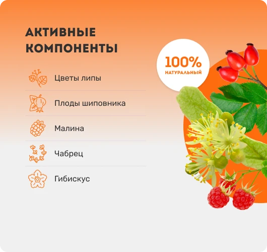 Сироп Иммуно. Активные компоненты